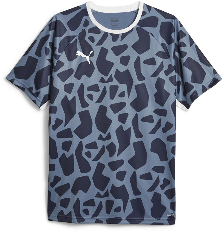 Puma Team Liga Graphic Tee